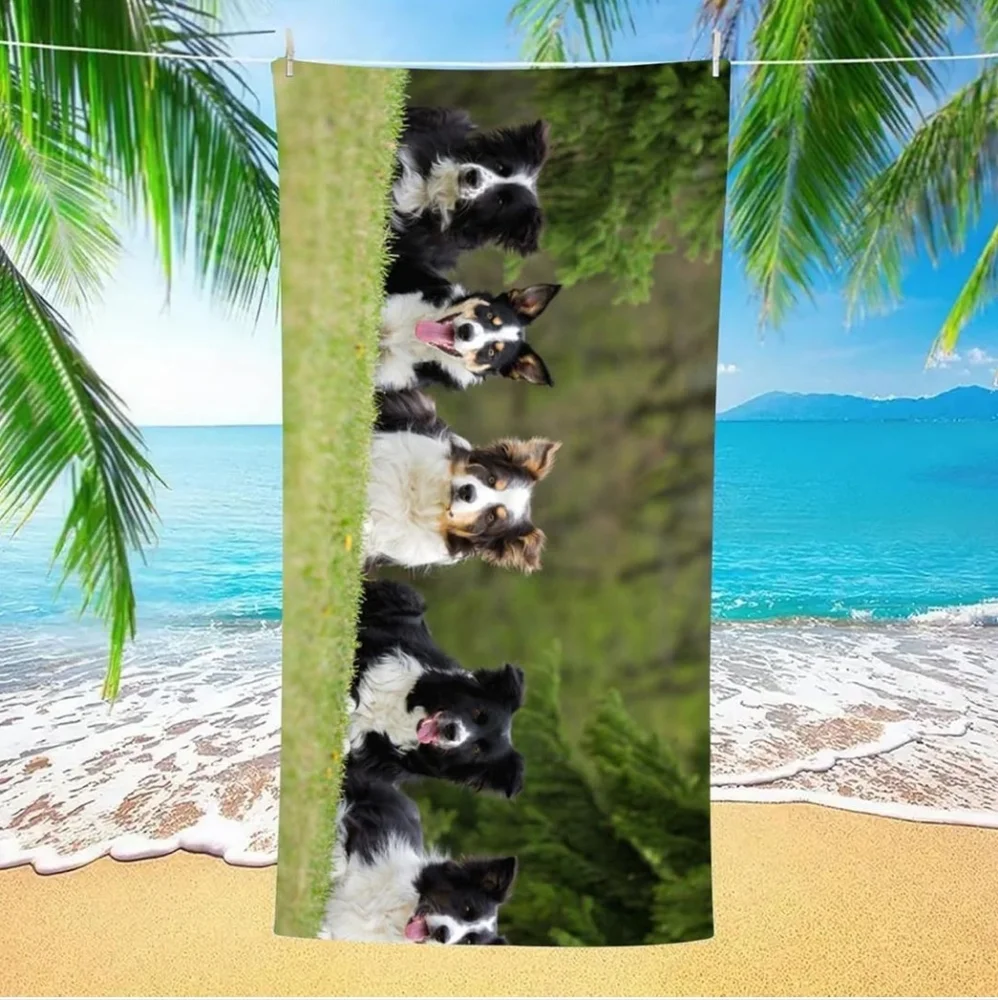 👣4/$20. Border Collie Print Beach Towel Soft, Absorbent, and Lightweigh